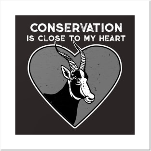 Bontebok Conservation Heart Posters and Art